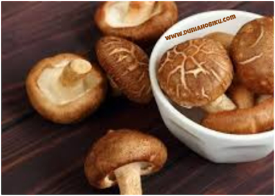 jamur shiitake