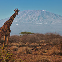 Self-driving and camping trip to Kenya and Tanzania trip East Africa photos