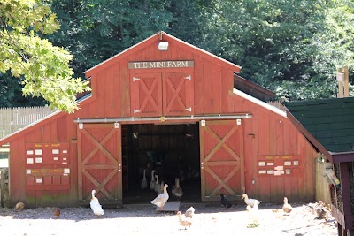 Photos of Camp Jewell YMCA
