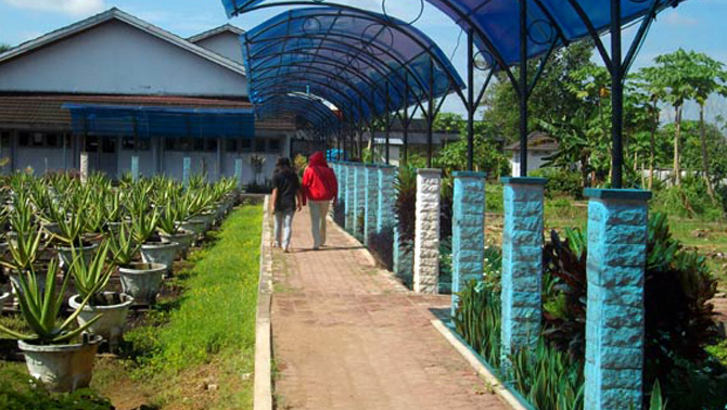 Aloe Vera Centre