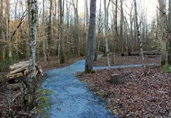 Walking trail along Mineral Springs Creek.