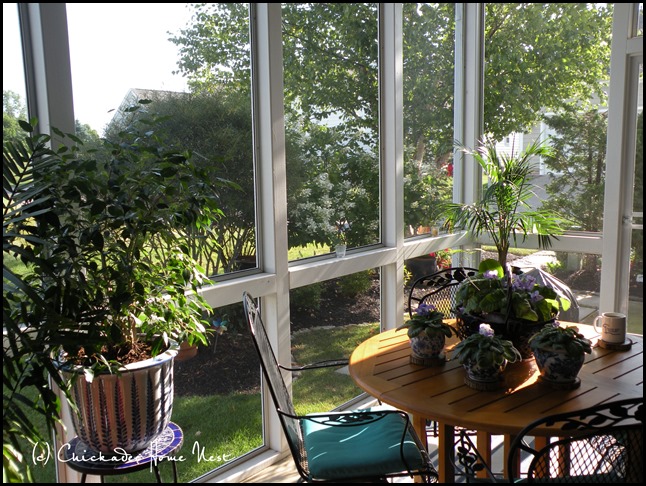 Screened Porch, Chickadee Home Nest