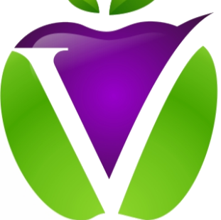 VERITAS Community School logo