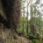 Walking along the base of the cliff (227557)