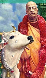 Hare Krishna