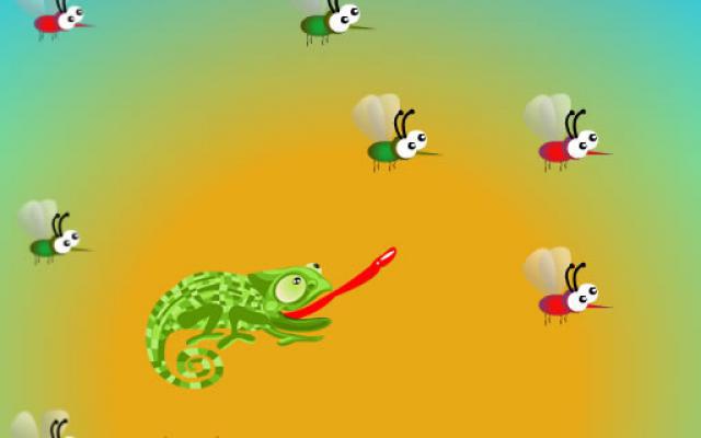 Hungry Chameleon