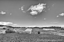 3 maggio 2014 Grana, Alfiano Natta, Grazzano Badoglio, Montachiaro,Montemagno d'Asti - fotografia di Vittorio Ubertone