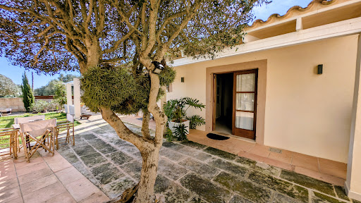 Maison avec jardin et terrasse 5