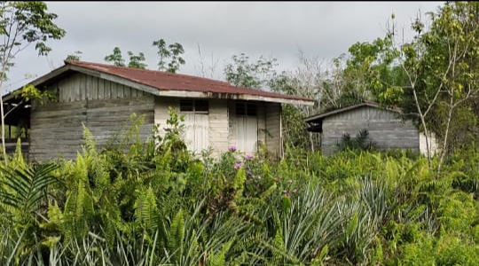 Rumah Trans Kalis Banyak Kosong 