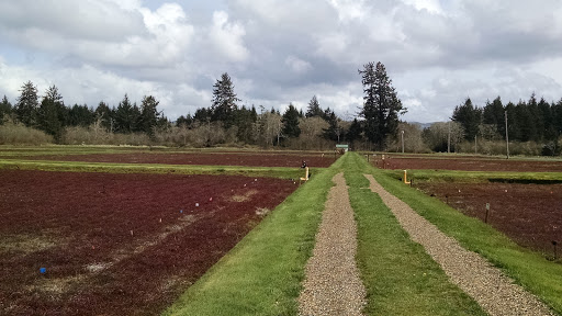 Museum «Cranberry Museum», reviews and photos, 2907 Pioneer Rd, Long Beach, WA 98631, USA