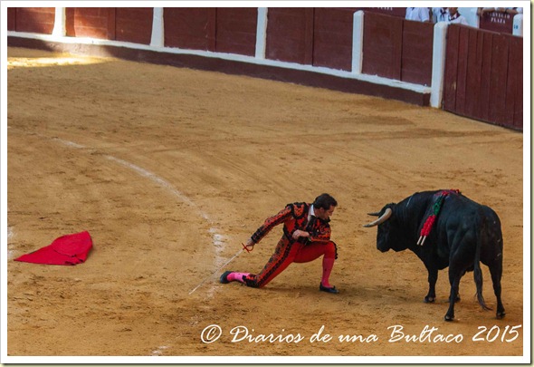 Toros1-9537