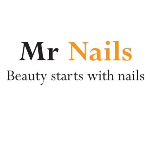 Mr Nails logo