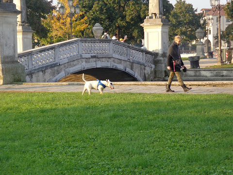 Круиз на Queen Elizabeth, 12-24 октября 2012