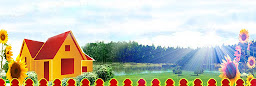 Profile cover photo