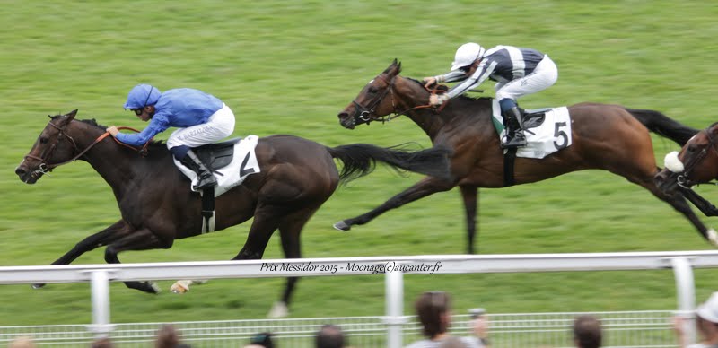 Photos Maisons-Laffitte 5-07-2015 IMG_2420