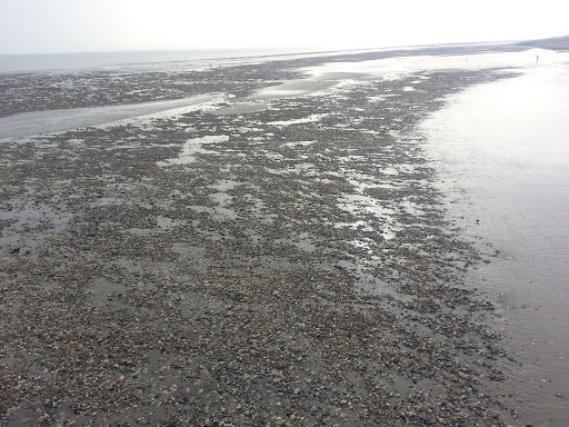 20140330 165201 1 View from Worthing Pier at low tide