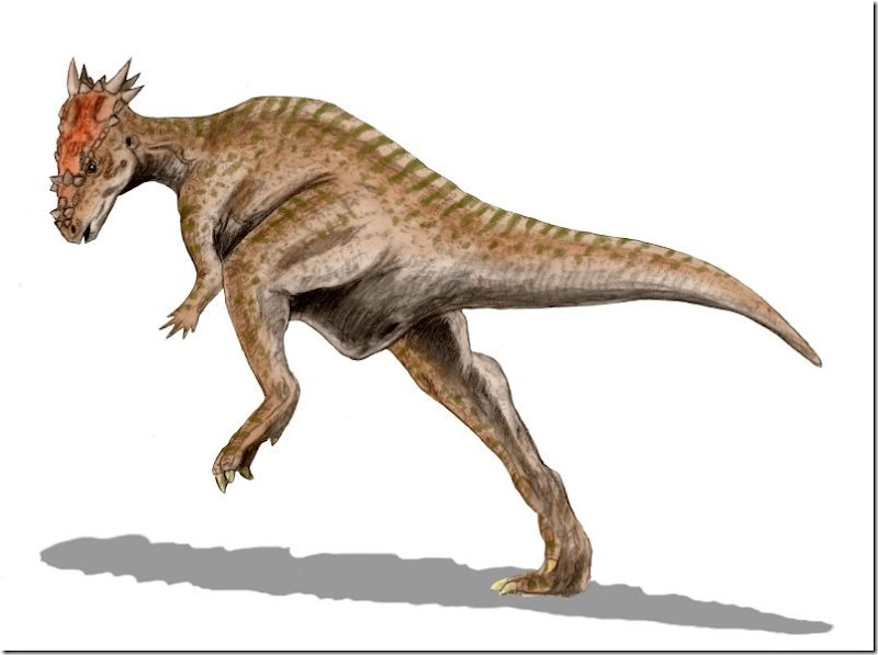 Dracorex_BW