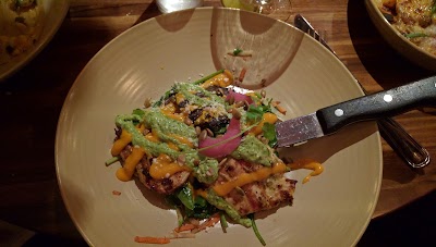 Photos of Cactus Kirkland