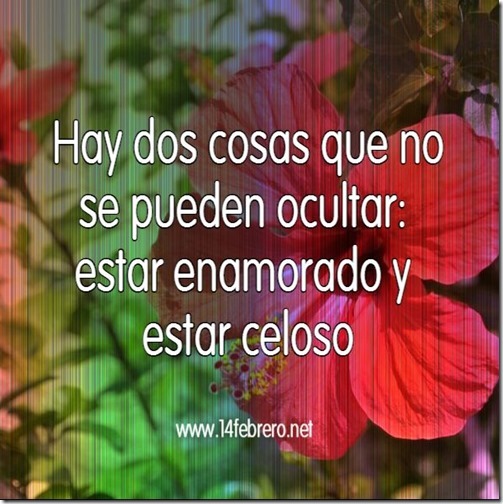 14febrero net frases celos (9) 14febrero net frases celos (9)