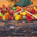 Taller tardor - DSC_0089.JPG