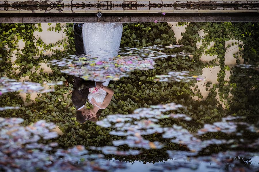 Kāzu fotogrāfs Sergio García Monge (sergiostudiobod). Fotogrāfija: 12. septembris 2017