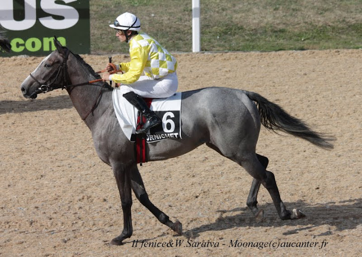 Photos Pornichet le 7-08-2015 IMG_3573