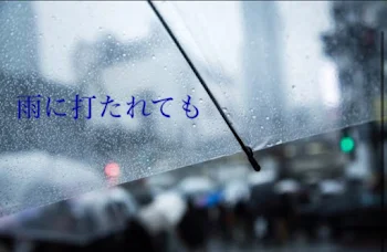 雨に打たれても