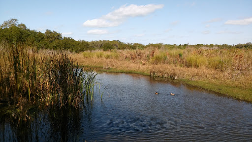 Nature Preserve «Perico Preserve», reviews and photos, 11700 Manatee Ave W, Bradenton, FL 34209, USA