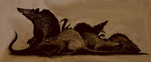 group_of_rats_by_ajax72-dceaw9f