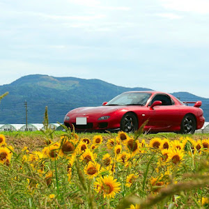 RX-7 FD3S 後期