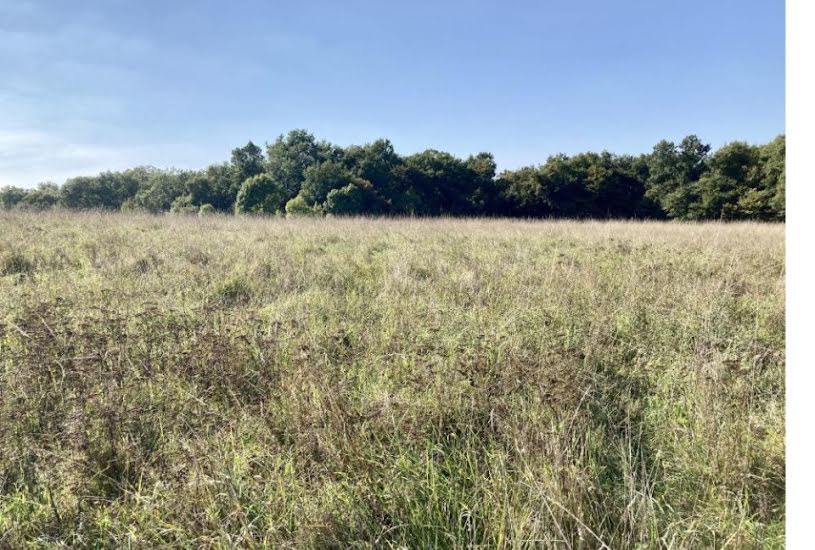  Vente Terrain + Maison - Terrain : 900m² - Maison : 100m² à Saint-Aubin-de-Médoc (33160) 