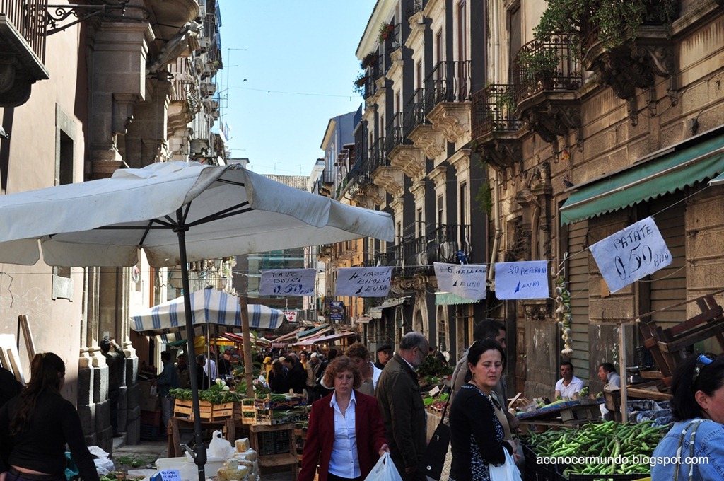 [DSC_0403-Catania11.jpg]