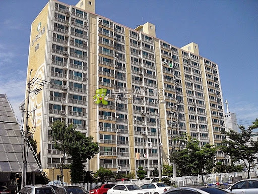 Daum카페