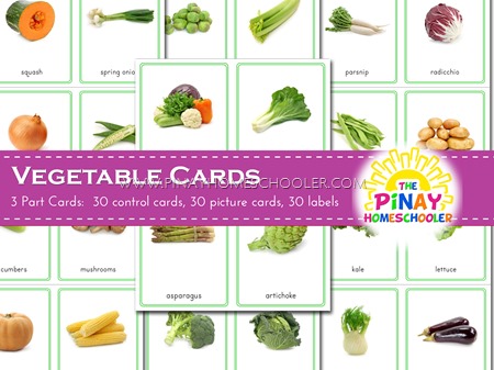 Montessori Vegetable 3 Part Cards