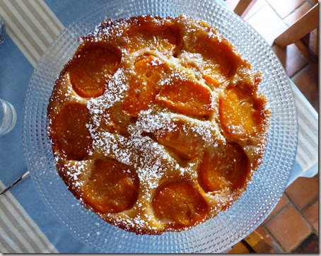 Apricot upside down cake6