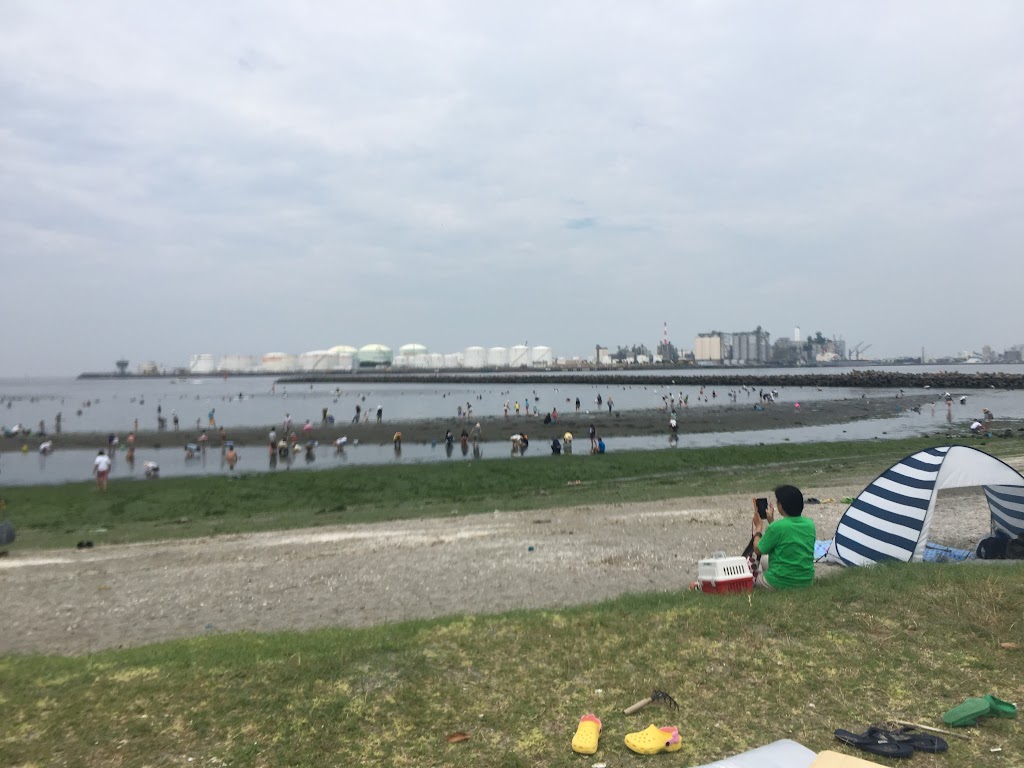 千葉ポートタワーに磯遊びにいってきました 海水魚日記 磯で採取した仲間たち