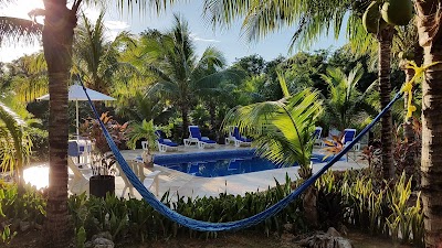 Photos of Villa Tortugas Residence