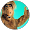 Alf