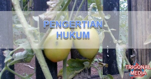 Pengertian Hukum