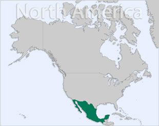 Mexico location map