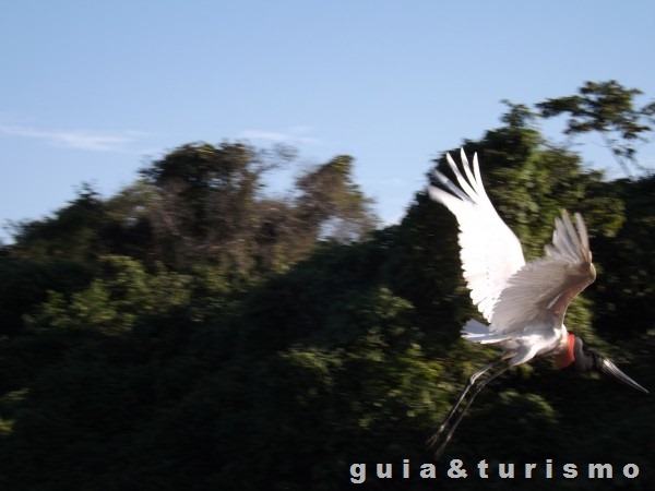 Passeio pelo Rio Cuiabá