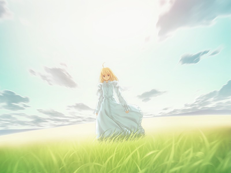 파일:external/static.zerochan.net/Saber.%28Fate.stay.night%29.full.817437.jpg