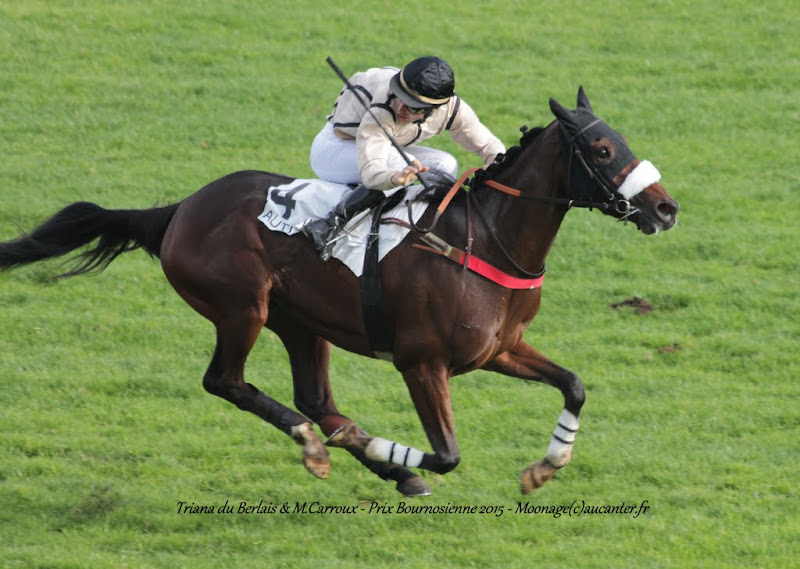 Prix Bournosienne 2015 (H., Gr.III, Auteuil) 7-11 : Triana du berlais IMG_6283