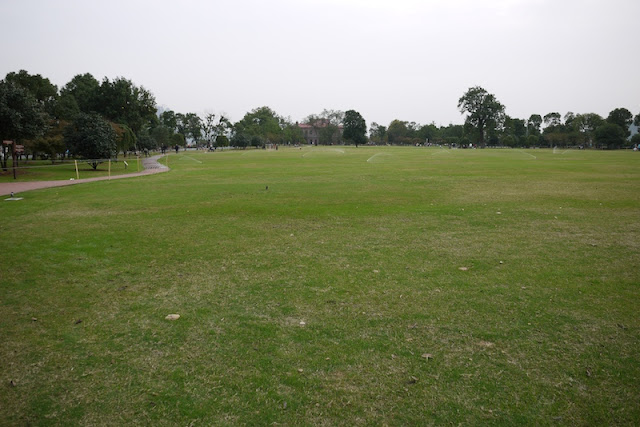 field of grass at the Tangerine Island Scenic Area in Changsha, China