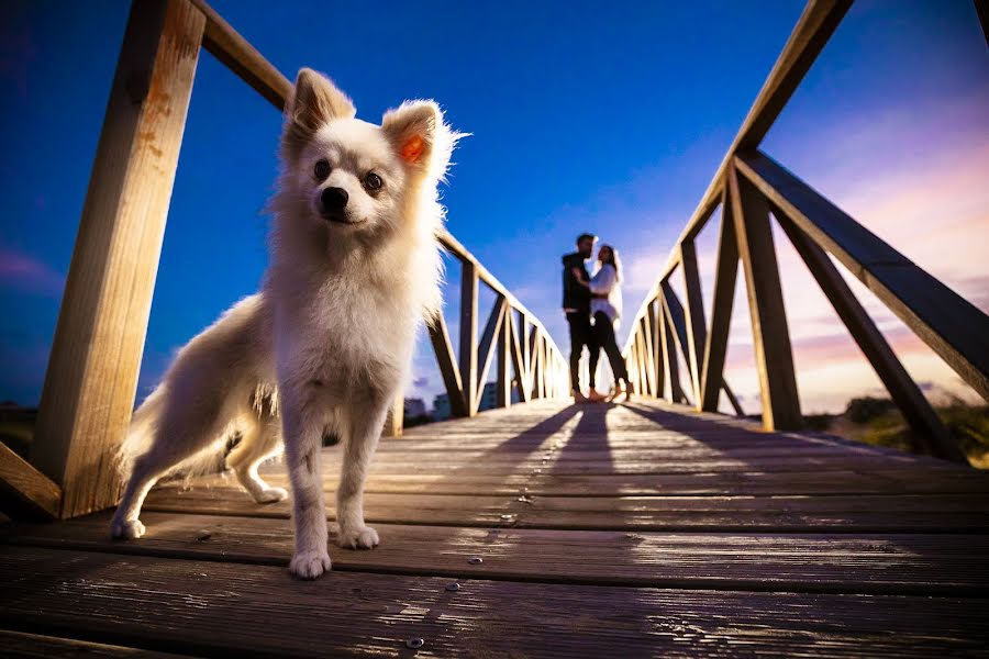 結婚式の写真家Miguel Bolaños (bolaos)。2019 6月12日の写真