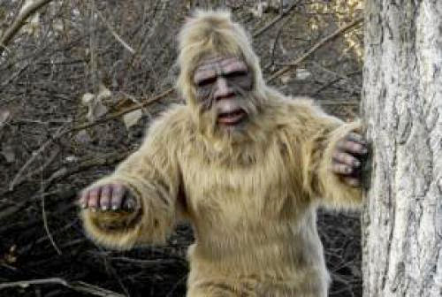 Dna Confirms Bigfoot Existence No Joke