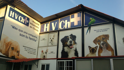 Hospital Veterinario de Cholula, Av. 8 Ote. 611, Barrio de Jesús Tlatempa, 72770 Cholula de Rivadabia, Pue., México, Veterinario | PUE