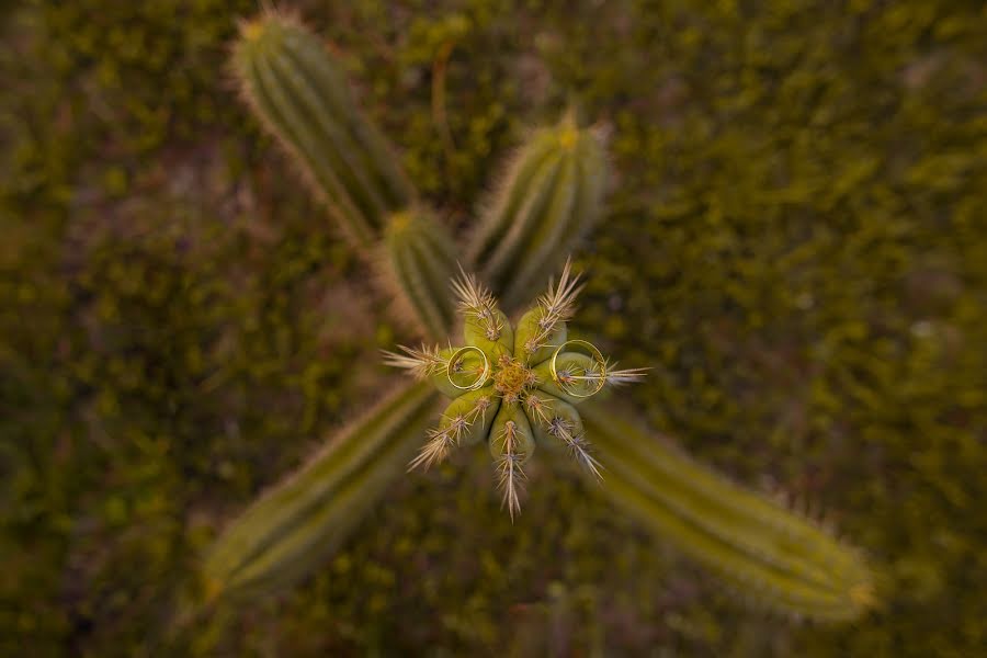 Bröllopsfotograf Alessandro Soligon (soligonphotogra). Foto av 13 mars 2019