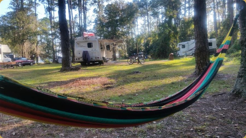 Ocean Pond Campsite 8