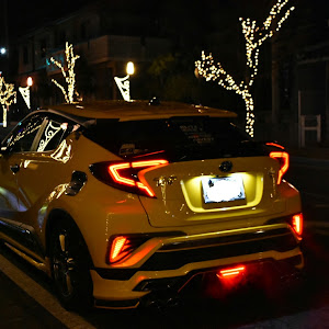 C-HR ZYX10